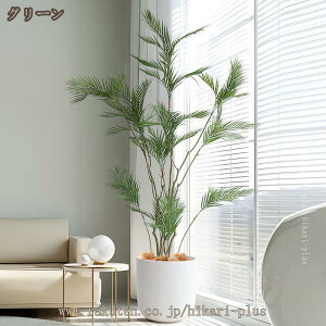 tFCNO[ ^  ϗtA  S ȒP  J^ rO lHϗtA P| sv A CeA  j i` ze [ JX J