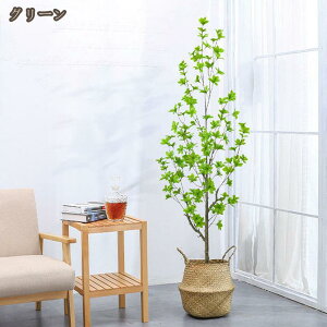 CeAO[ hE_ccW h R lHϗtA ̂ȂϗtA bsv Q쏜sv tFCNO[ Ύ  gC  ʏ  ͂Ȃ  l