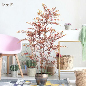 ou[ ϗtA Mtg v[g ^  AWA { lHϗtA Ύ zj Vzj JXj ړ]j CeA  ItBX ϗA  A t