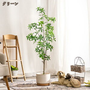 CeAO[ n h R lHϗtA ̂ȂϗtA bsv Q쏜sv tFCNO[ Ύ  gC  ʏ  ͂Ȃ  lHϗt 