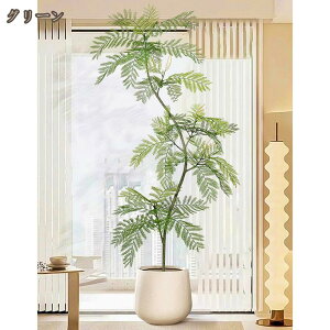 Ύ tFCNO[ WJ_̖ ϗtA ^ 蕨 JXj JƏj Vzj zj CeA Vv _ ϗt ϗA sv Q̐SzȂ  I