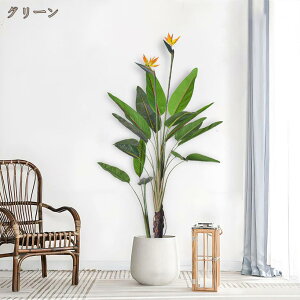 Ɋy lHϗtA { ^ ͂Ȃ sv ϏܐA p CeA  Op OΉ  a A 傫 傫   A[gO[  o