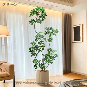 CeAO[ xW~ h R lHϗtA ̂ȂϗtA bsv Q쏜sv tFCNO[ Ύ  gC  ʏ  ͂Ȃ  lH