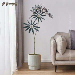 Ύ tFCNO[ K̖ ϗtA ^ 蕨 JXj JƏj Vzj zj CeA Vv _ ϗt ϗA sv Q̐SzȂ  ItBX X