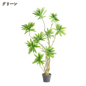 lHϗtA hZi lHϗt sv ͂Ȃ QȂ  CeA tFCNO[  A j Mtg v[g JXj Vzj aj j 