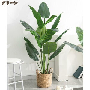  ^ tFCNO[ lHA lHϗtA ɒuA Ɋy  sv CeA  J^ ϗA lH ϗt sv  j j JX