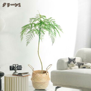 tFCNO[ ϗtA WJ_̖ hJr L  rO lHϗtA ^ A  CeAO[ A  j 傫 A    t 