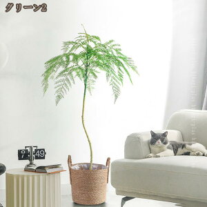 tFCNO[ ϗtA WJ_̖ hJr L  rO lHϗtA ^ A  CeAO[ A  j 傫 A    t 