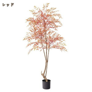 lHϗtA | ou[ lHϗt sv ͂Ȃ QȂ  CeA tFCNO[  A j Mtg v[g JXj Vzj aj j