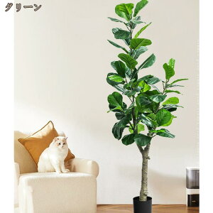 tFCNO[ ^  a Ex[^ ϗt CeAO[ ϗtA lHϗtA  lH  A[gO[ CeA ֐ x_  Mtg i V