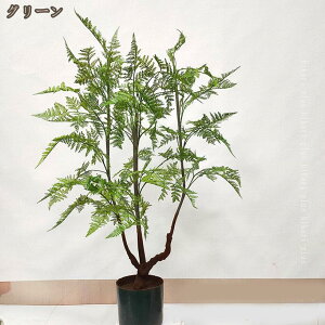 tFCNO[ lHA  lHϗtA tFCN   L h R A ^  sv 傫 傫 V_A CeA A  A[gO[ ϗt 