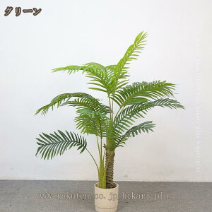 V̖ lHϗtA R hJr tFCNO[ ^  CeAO[  Ύ ϗA 傫 { A   [ ze ItBX X 