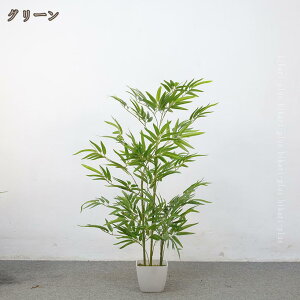 | ou[ lHϗtA R hJr tFCNO[ ^  CeAO[  Ύ ϗA 傫 { A   [ ze ItBX X 