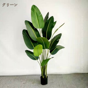 ϗtA tFCNO[ A tFCN Ɋy  ^ lHϗtA   CeA p Op lH ~ tFCNA O sv ͂Ȃ   ItB