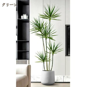 tFCNO[ hZi ^ A lH CeAO[    rO Xܗp { AȐlHϗtA sv Q̐SzȂ ItBX  