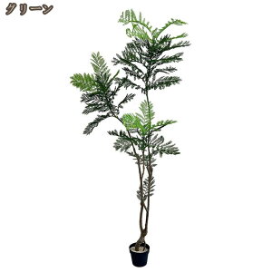 ϗtA tFCNO[ A tFCN WJ_̖  ^ lHϗtA   CeA p Op lH ~ tFCNA O sv ͂Ȃ  