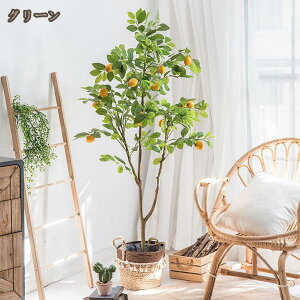 tFCNO[ lHϗtA ϗt  ^  lH K̖  ItBX AA ȒP sv Q̐SzȂ ͂Ȃ ̖ 蕨   