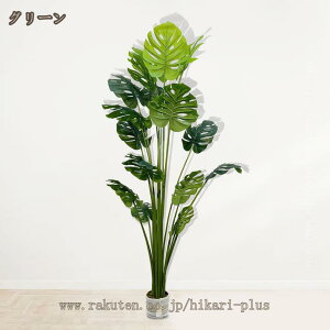 ϗtA tFCNO[ A tFCN Xe  ^ lHϗtA   CeA p Op lH ~ tFCNA O sv ͂Ȃ   It