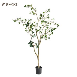 tFCNO[ lHϗtA ϗt  ^  lH K̖  ItBX AA ȒP sv Q̐SzȂ ͂Ȃ xW~ 蕨  