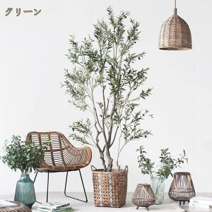 lHϗtA a I[u̖ CeA   A L R sv Q̐SzȂ tFCNO[ lHA 킢 zj 蕨 Vzj̑ v[