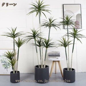 ϗtA hZi a   ^ 傳 tFCNO[ lHϗtA lHA A sv CeAO[ rO JtF  L R h lH tFCN v[g 