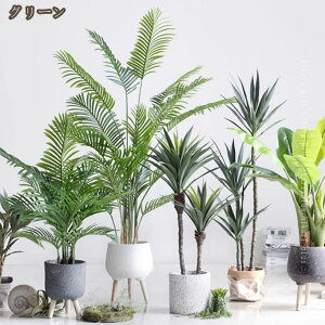 ϗtA AJV a   ^ 傳 tFCNO[ lHϗtA lHA A sv CeAO[ rO JtF  L R h lH tFCN v[