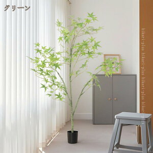 JGf̖ tFCNO[ ԃO[ ϗt ͂Ȃ lHϗtA h h  EH[O[  t {   lHA A JtF  rO Lb`