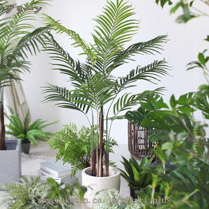 AJV tFCNO[ ԃO[ ϗt ͂Ȃ lHϗtA h h  EH[O[  t {   lHA A JtF  rO Lb`