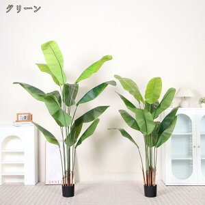 Ɋy lHϗtA {   傫 ϗtA ^ tFCNO[ A Ύ lHϗt CeA A j a     蕨  ϗA 