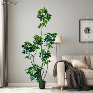 xW~ tFCNO[ ԃO[ ϗt ͂Ȃ lHϗtA h h  EH[O[  t {   lHA A JtF  rO Lb