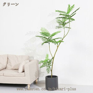 WJ_̖ lHϗtA {   傫 ϗtA ^ tFCNO[ A Ύ lHϗt CeA A j a     蕨  