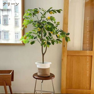 ϗtA ^ ̖ v[g tFCNO[ Ύ K̖ 蕨 a JƏj JXj ړ]j Mtg ̓ ̓ lHϗtA  tFCNA lHA Ce