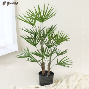 lHϗtA A { V̖ ~͐A ϗt tFCNO[  CeAO[ Mtg v[g rO  ItBX l炵 p Bep  Q