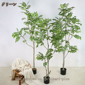 lHϗtA A { xW~ ~͐A ϗt tFCNO[  CeAO[ Mtg v[g rO  ItBX l炵 p Bep  Q