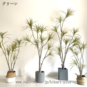 K̖ lHϗtA { ^ ͂Ȃ sv ϏܐA p CeA  Op OΉ  a A 傫 傫   A[gO[  o