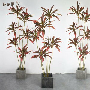 lHϗtA A { K̖ ~͐A ϗt tFCNO[  CeAO[ Mtg v[g rO  ItBX l炵 p Bep  Q