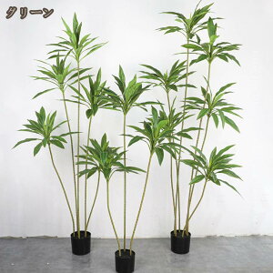 lHϗtA A { K̖ ~͐A ϗt tFCNO[  CeAO[ Mtg v[g rO  ItBX l炵 p Bep  Q