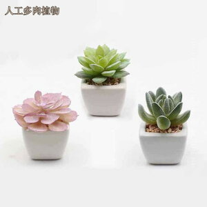 5�Z�b�g �l�H�A�� �t�F�C�N�O���[�� ���� �~�j���A�� �������� �C���e���A �I�t�B�X �� �Q�� ���f�B�X�v���C�p �f�X�N�I�[�i�����g �N���G�C�e�B�u �k�� �l�H�����A�� �͂�Ȃ� �a���� 