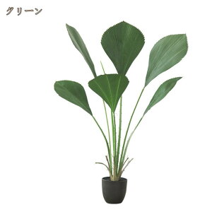 k ins lHϗtA Xe lHϗt A { CeAO[ tFCNO[ ^ Q쏜sv lHt lHA ϗt  CeA   