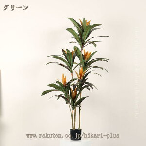 lHϗtA tFCNO[ ϗtA  傫 傫 X i ƒ    ^ Vv  j fRp ȒP QȂ Xܑ bNX 