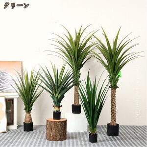 lHϗtA  ^ tFCNO[  CeA  b炸 sv ItBX z[ fR[V  p[eB[  A OΉ Bep v[