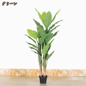 ϗtA oii̖ tFCNO[ 180cm lHϗtA t  CeA  rO ItBX Lb` p CeA O  xbh[ K[f  