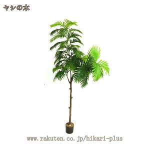 ^ tFCNO[ lHϗtA lHA lH A V~[Vc[  O z[ CeA  sv Q̐SzȂ i`    SݓX 