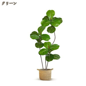 tBJXE[^ ϗtA tFCNO[ ^ A  t v[g CeA lHϗtA p  { ̎╗ k  O ItBX ݑ tFC