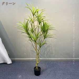 tFCNO[ ^ tA tFCN lHtA k  sv ȒP Vv  CeA lH A t j ̓ { A lHϗt