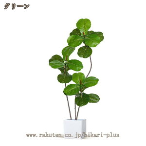 ϗtA tFCNO[ ^ A tBJXE[^ CeA lHϗtA  Jo[ Aؔ K[fjO ͗lւ z sv ͂Ȃ A JXj JƏj 