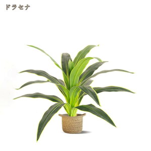 ϗtA tFCN INS tFCNO[ lHϗtA ^ tFCNA   CeA  OΉ sv ͂Ȃ ~͐A   ItBX XX Vzj z