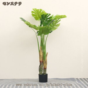 tFCNO[ ^ k lHϗtA A 傫  tFCN CeA O[ A ItBX  K sv v[g 蕨 a a_ 蕨 傫