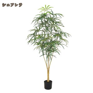 ϗtA tFCNO[ CeA ^  lHA  sv v[g Mtg k  O ItBX ݑ tFCNA sv ͂Ȃ ~͐A p 