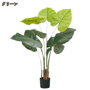 lHϗtA tFCNO[ ϗtA  ^  j ̓ ̓ A k  _ JtF CeA Ƌ V l炵 c X ItBX ze J